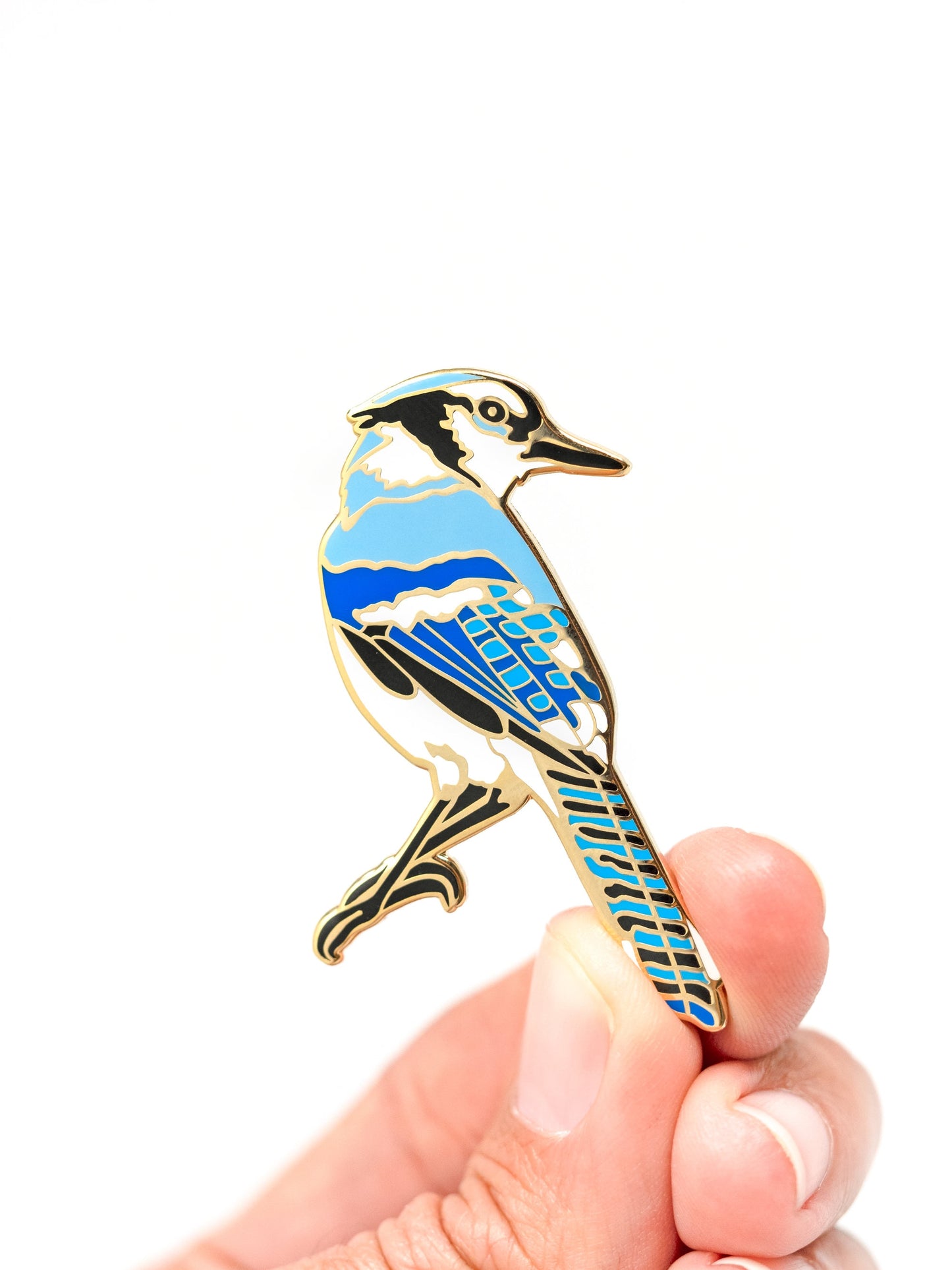 Blue Jay Hard Enamel Pin