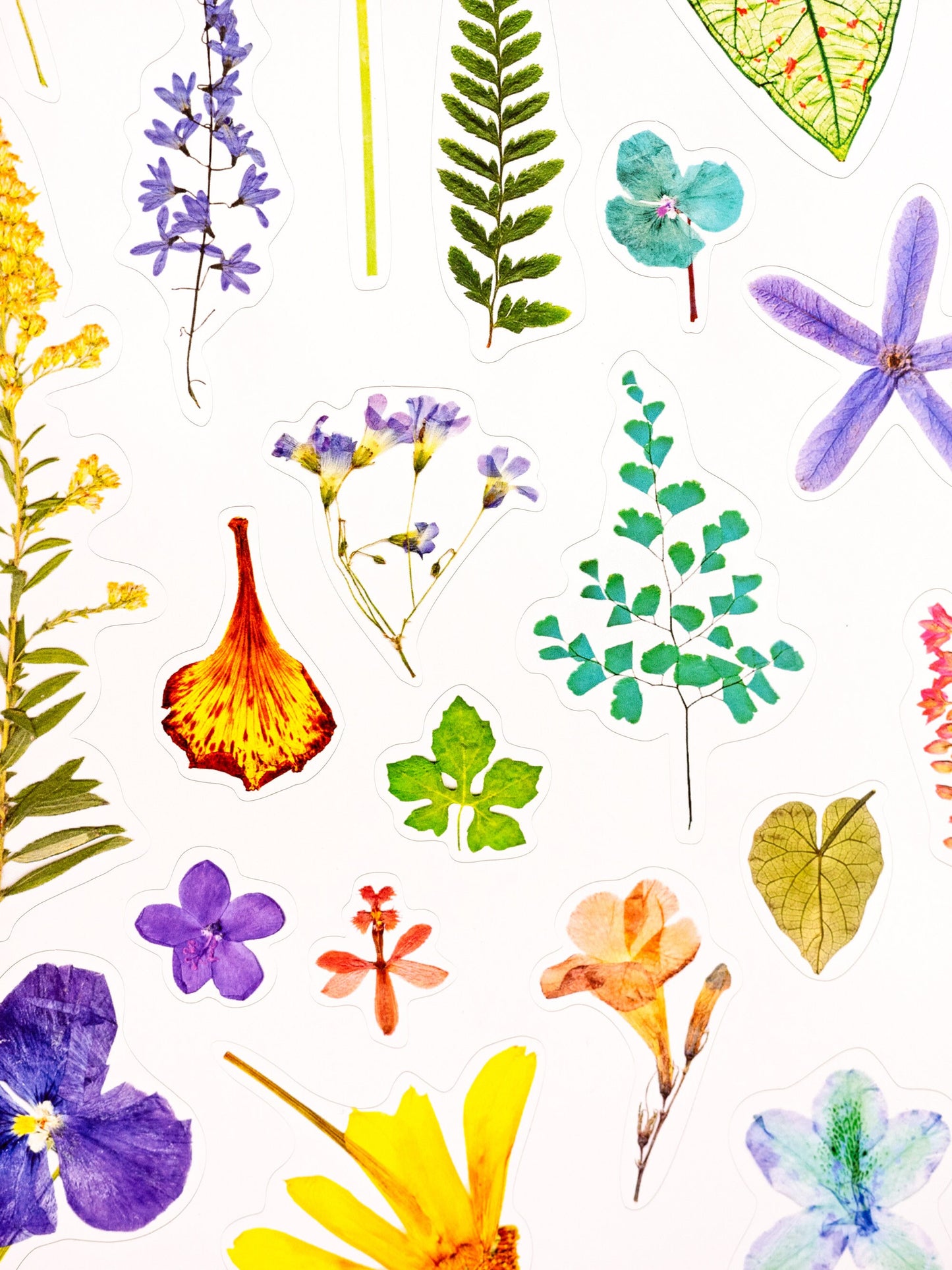 Floral Sticker Sheet