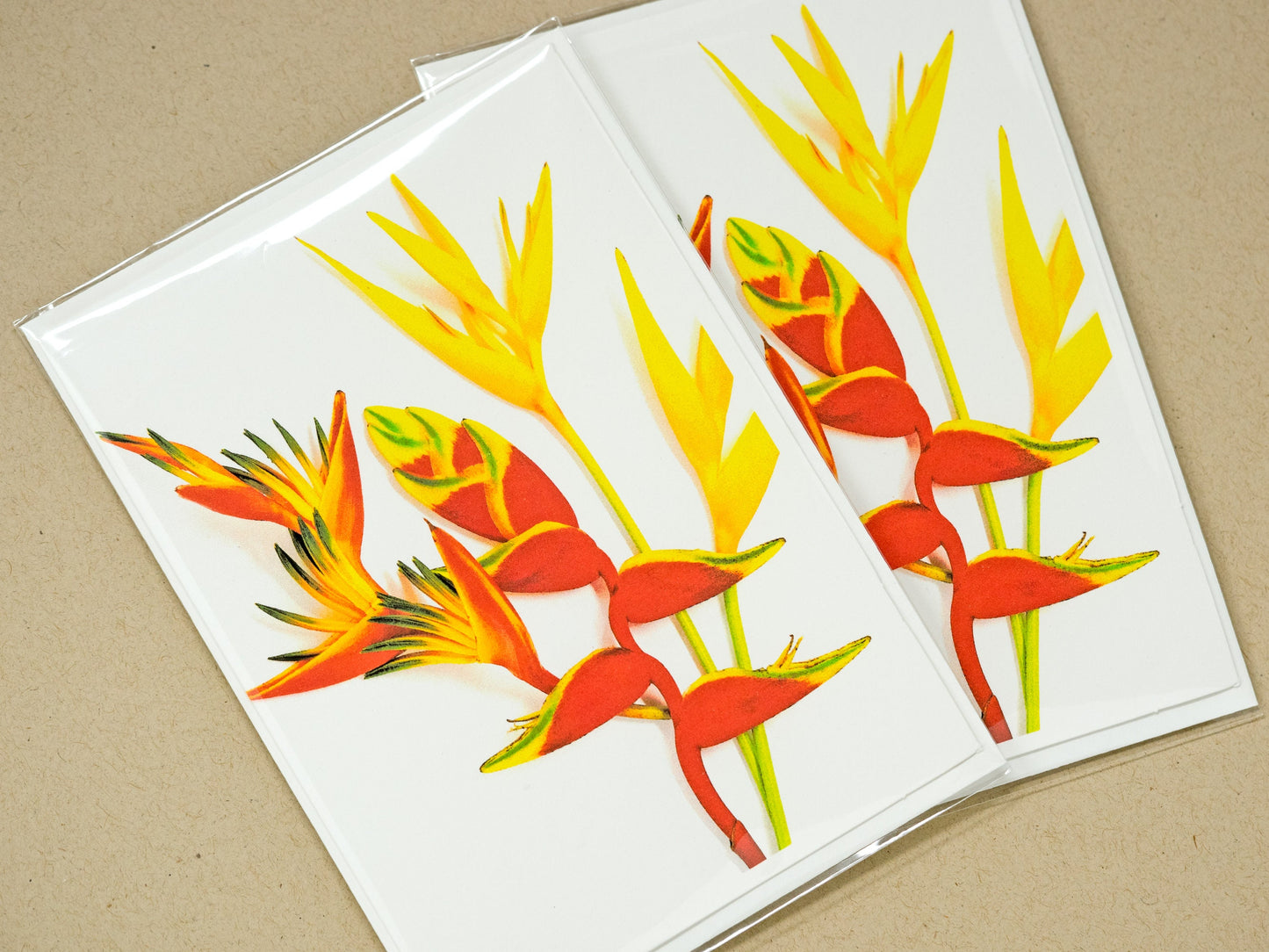 Heliconias Greeting Card