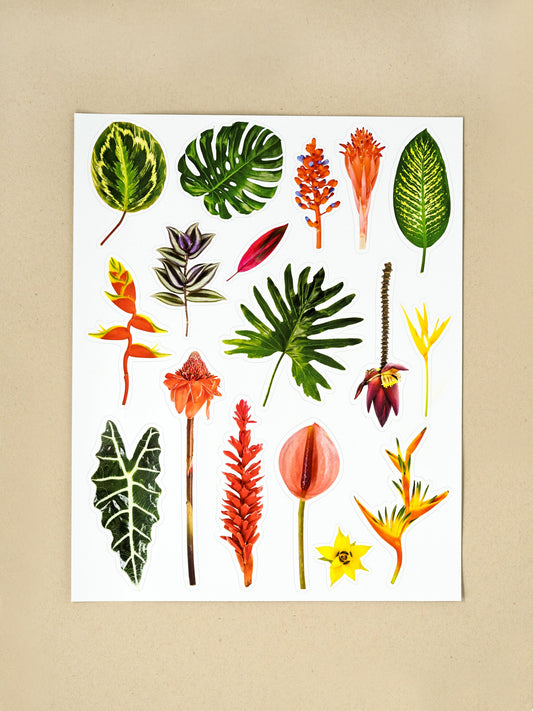 Tropical Plants Sticker Sheet