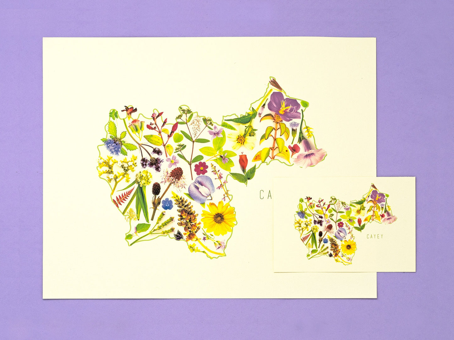 Puerto Rico's Municipalities Art Print