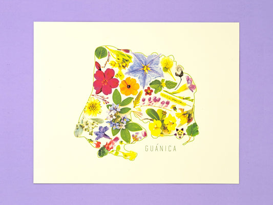 Puerto Rico's Municipalities Art Print
