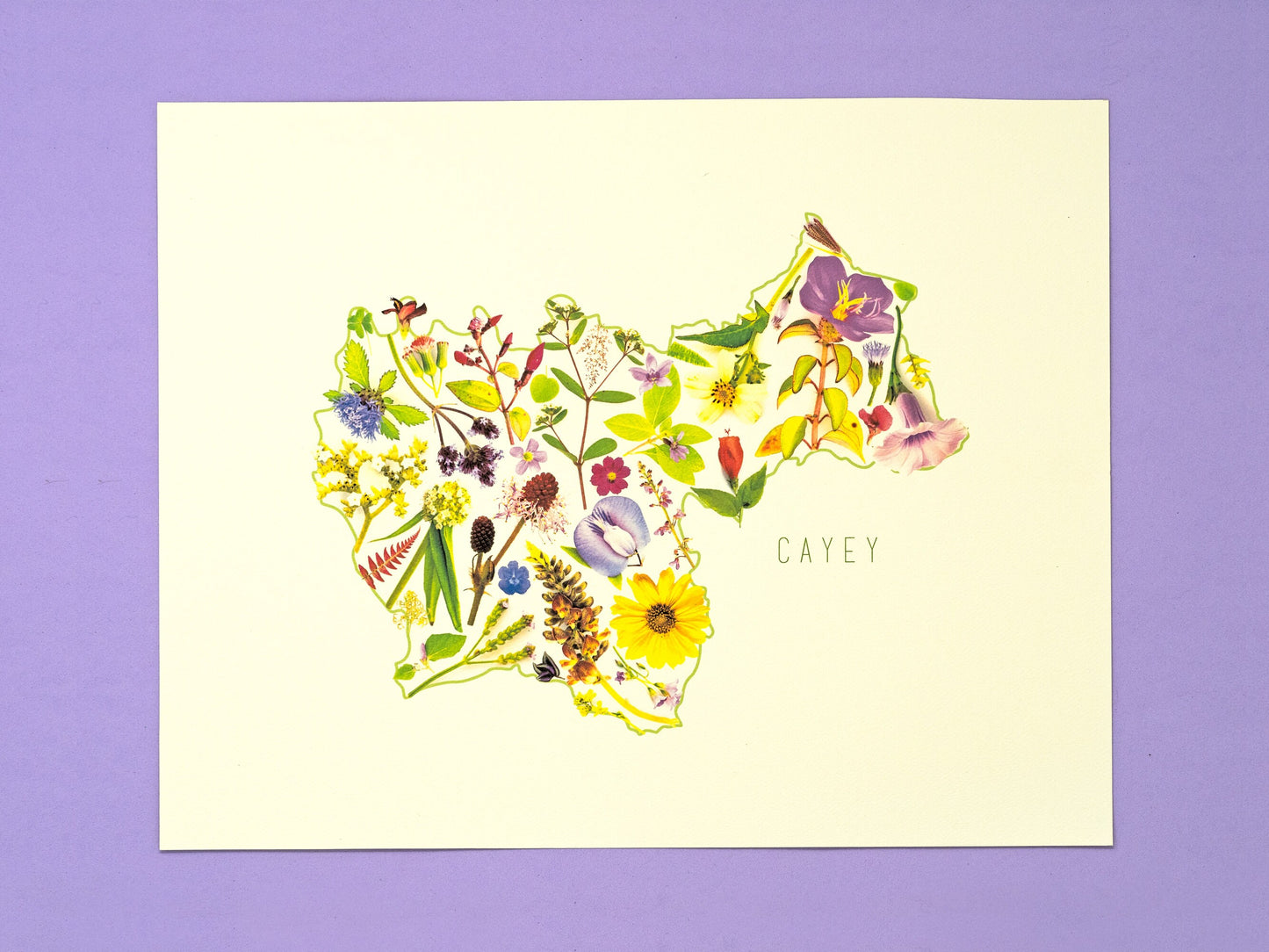 Puerto Rico's Municipalities Art Print