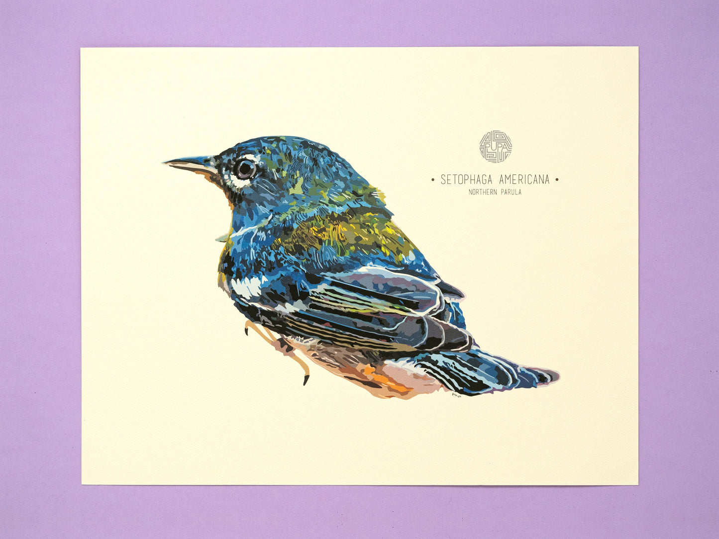 Northern Parula Art Print