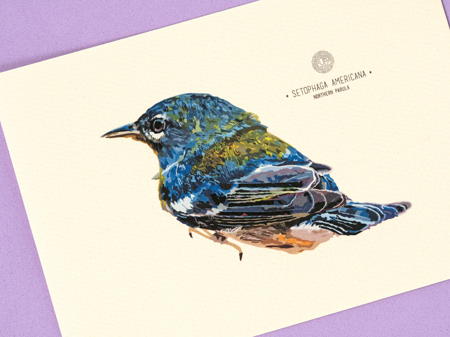 Northern Parula Art Print