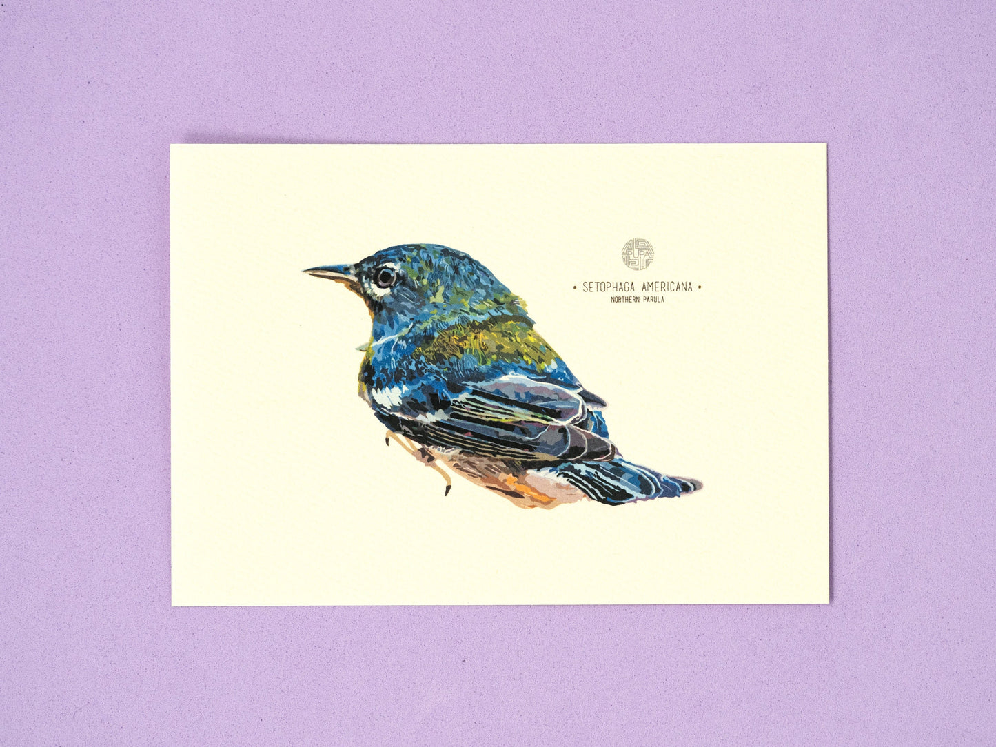 Northern Parula Art Print