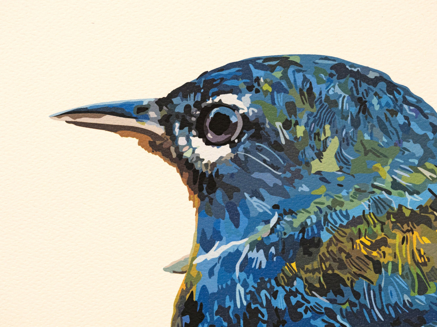 Northern Parula Art Print