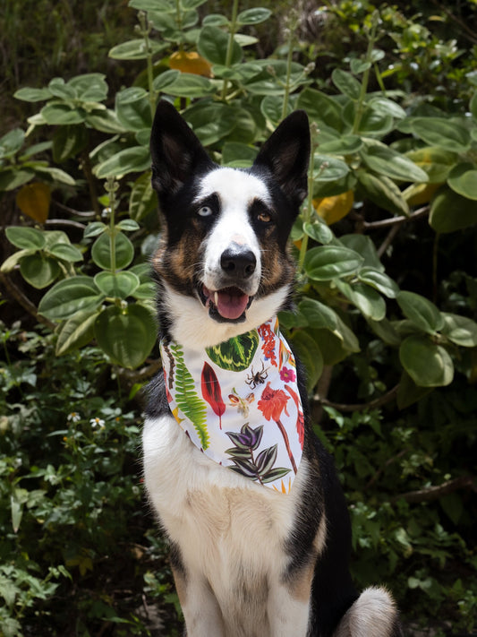 Dog & Cat Bandanas / Floral Slip Over Collar bandana