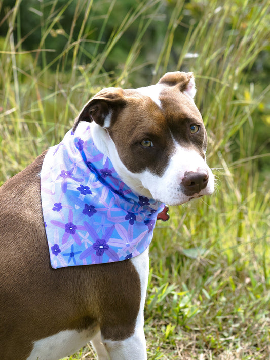 Reversible Dog Bandanas / Floral Slip Over Collar Bandanas