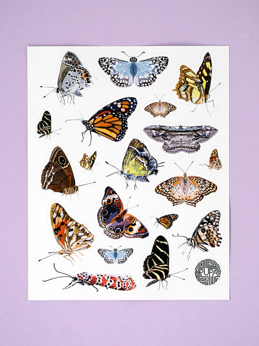 Butterflies of Puerto Rico Sticker Sheet