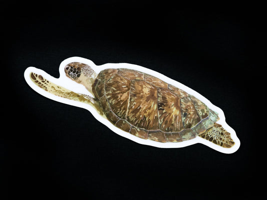 Green Sea Turtle Sticker