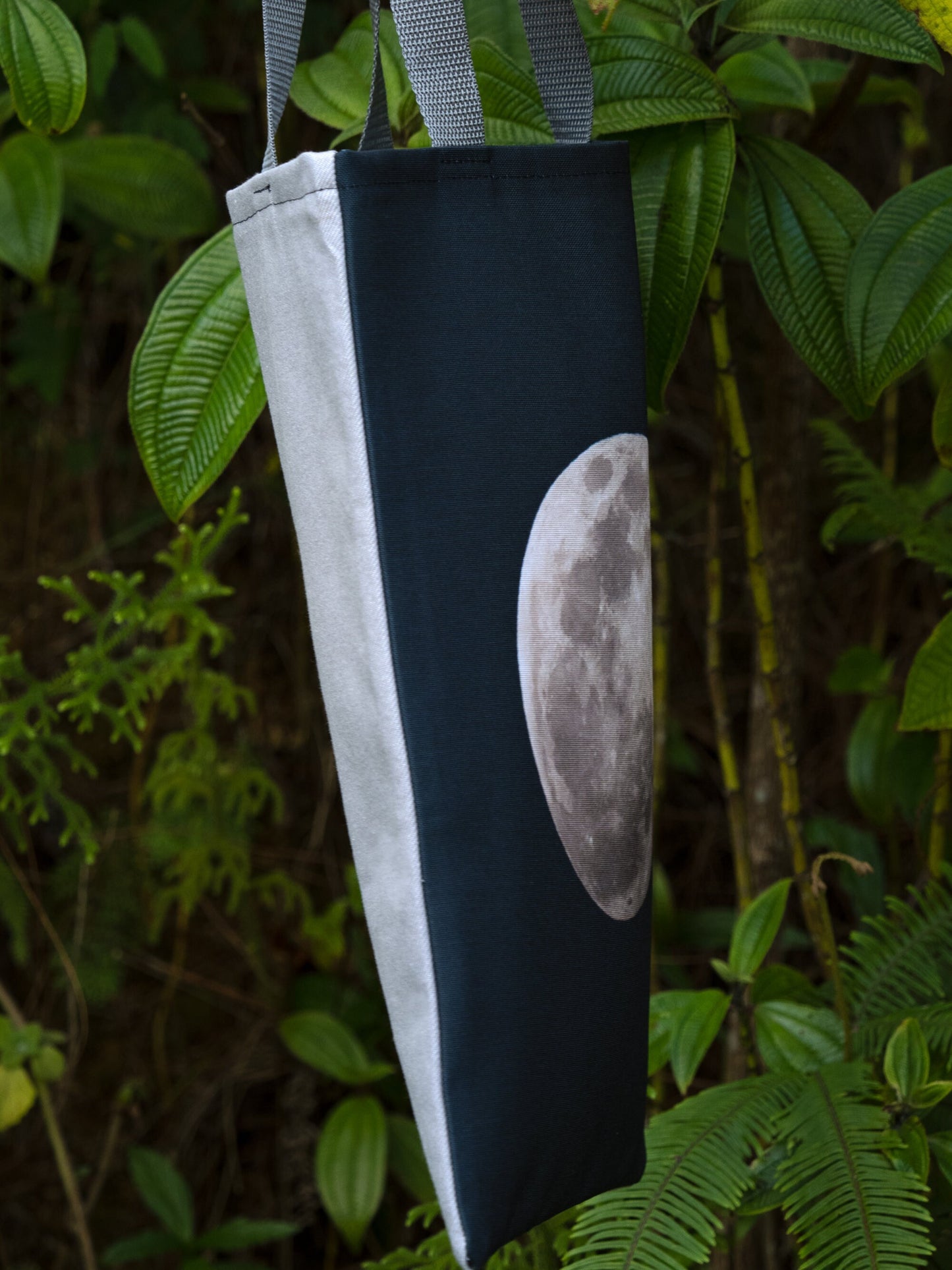 Full Moon Tote Bag