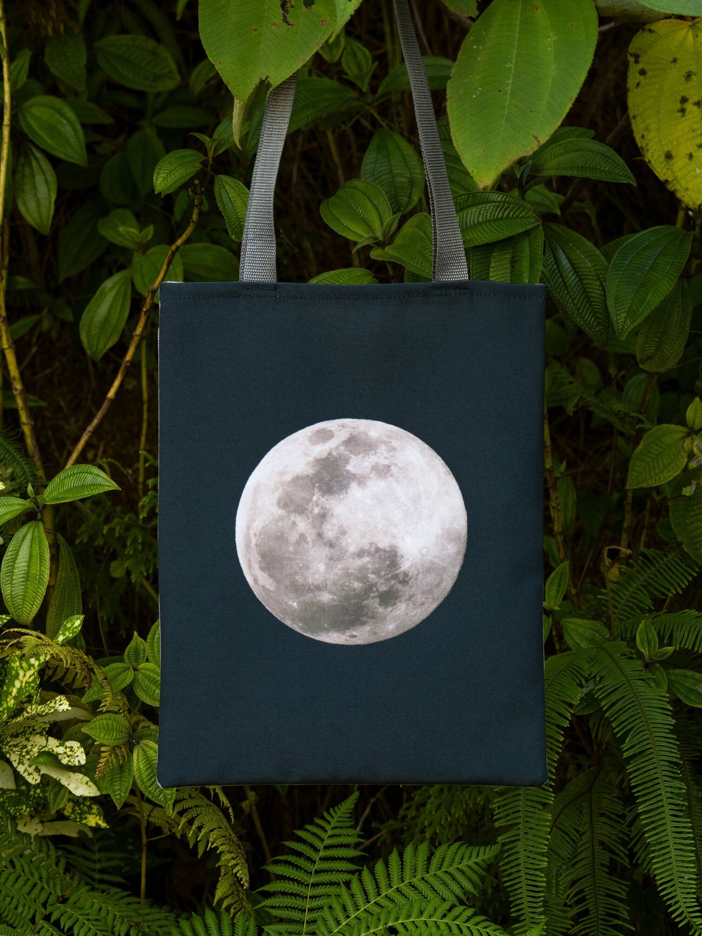 Full Moon Tote Bag