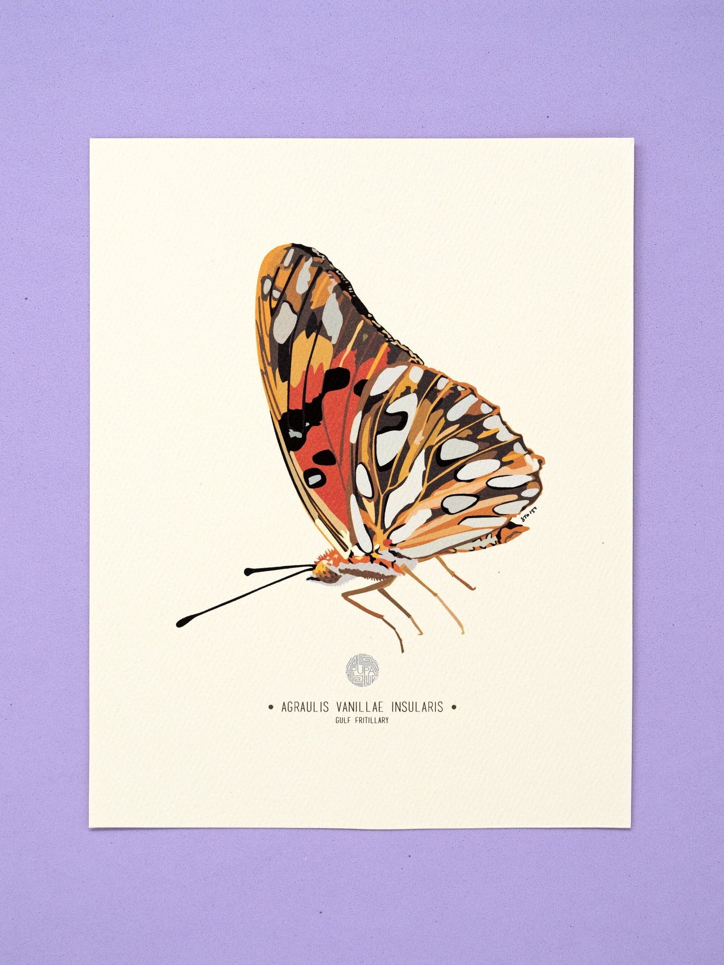 Gulf Fritillary Butterfly Art Print