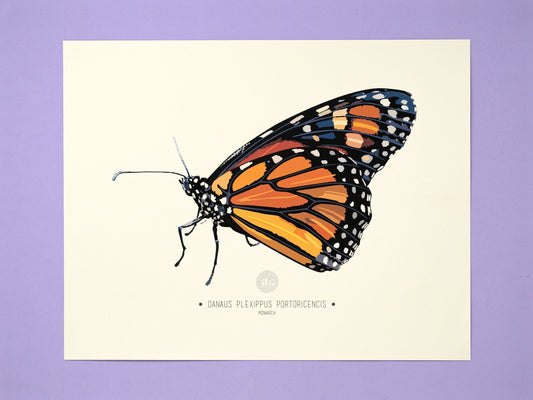 Monarch Butterfly Art Print