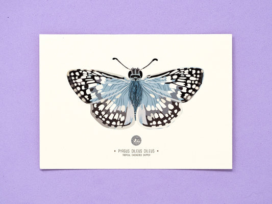 Tropical Checkered Skipper Art Print