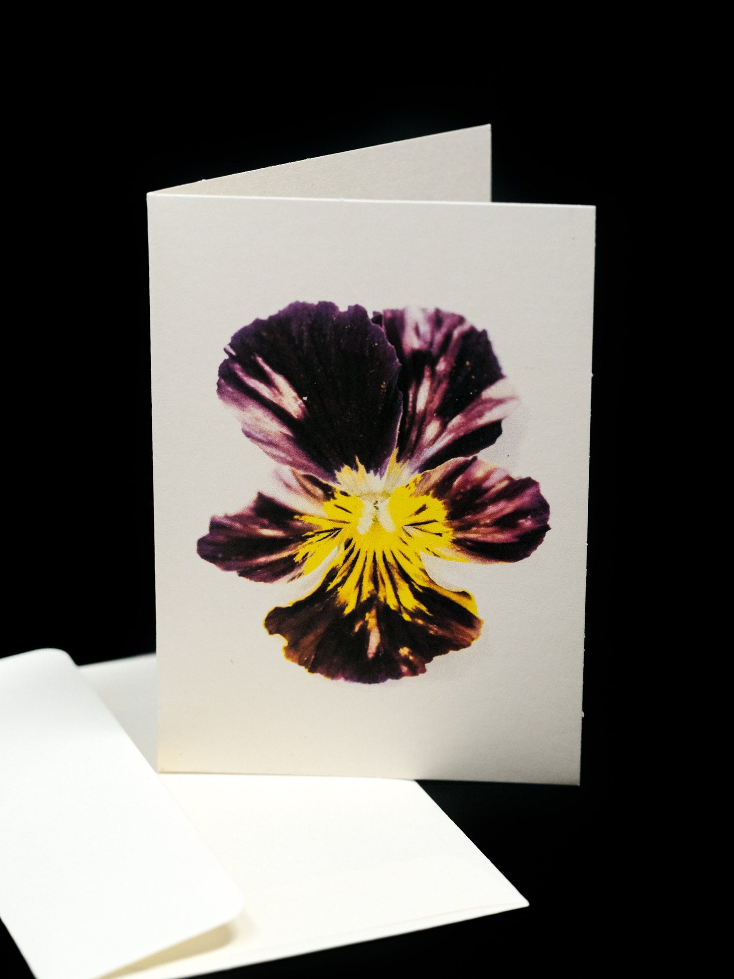 Pansy Greeting Card & Note Card Collection