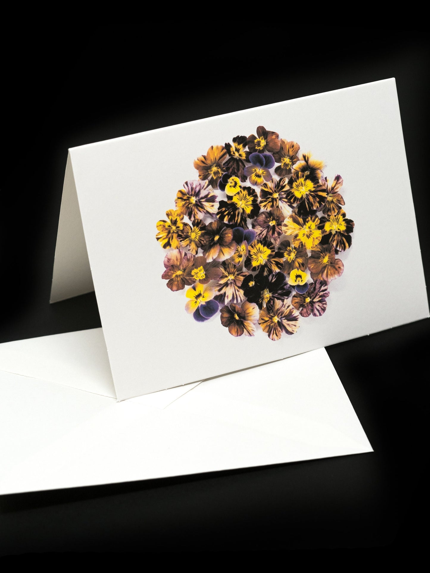 Pansy Greeting Card & Note Card Collection