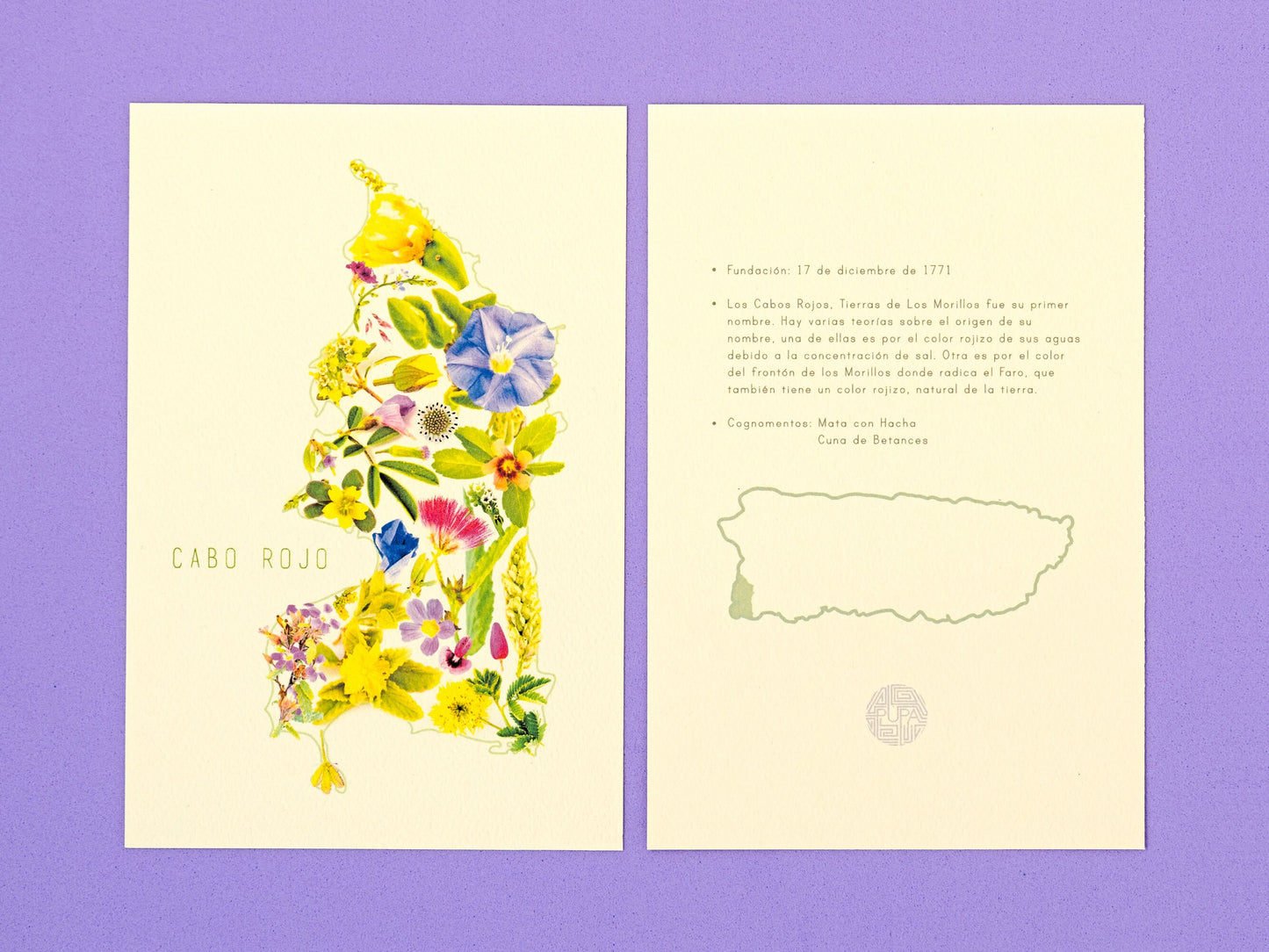 Puerto Rico's Municipalities Art Print