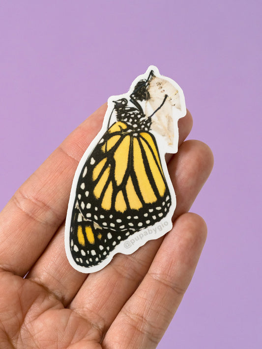 Puerto Rican Monarch Sticker