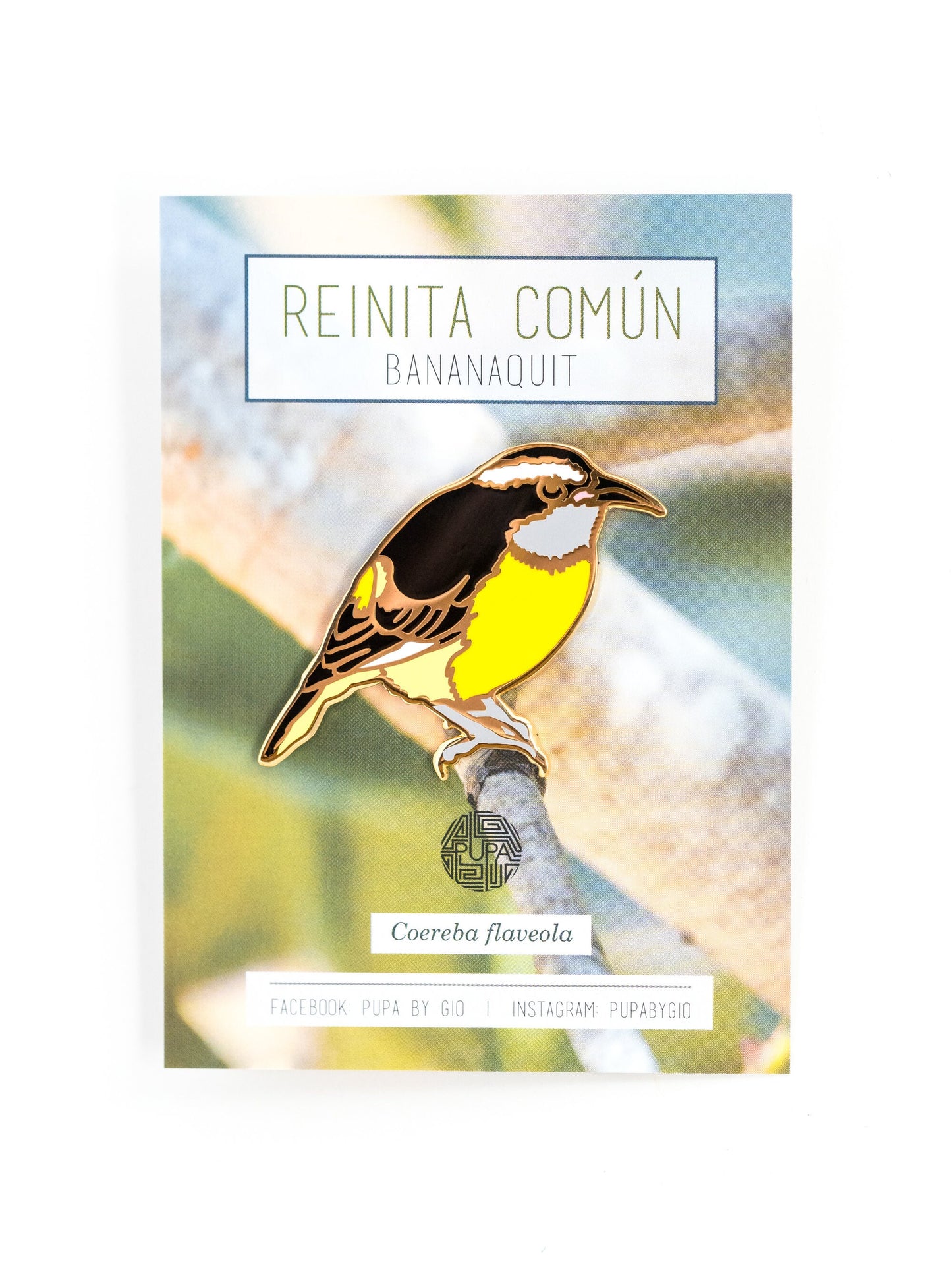 Reinita Común Enamel Pin