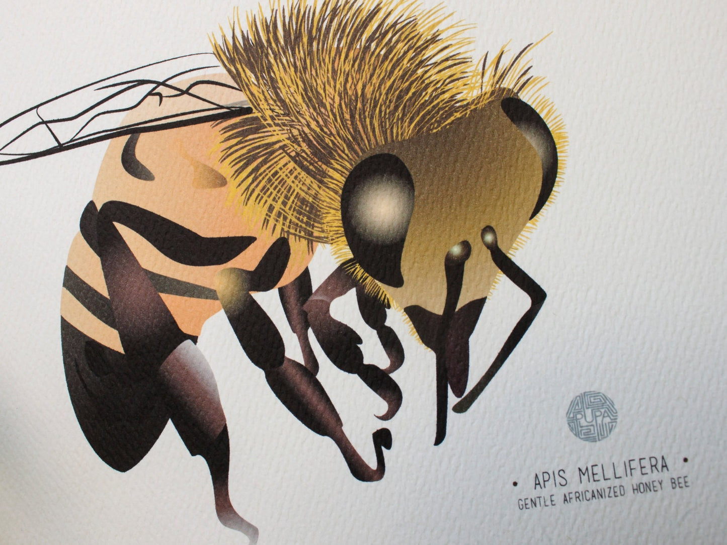 Honey Bee Art Print Illustration