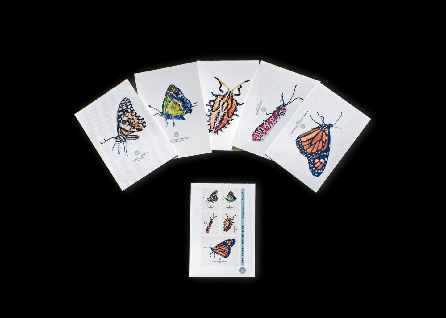 Insect Art Prints - Set of five