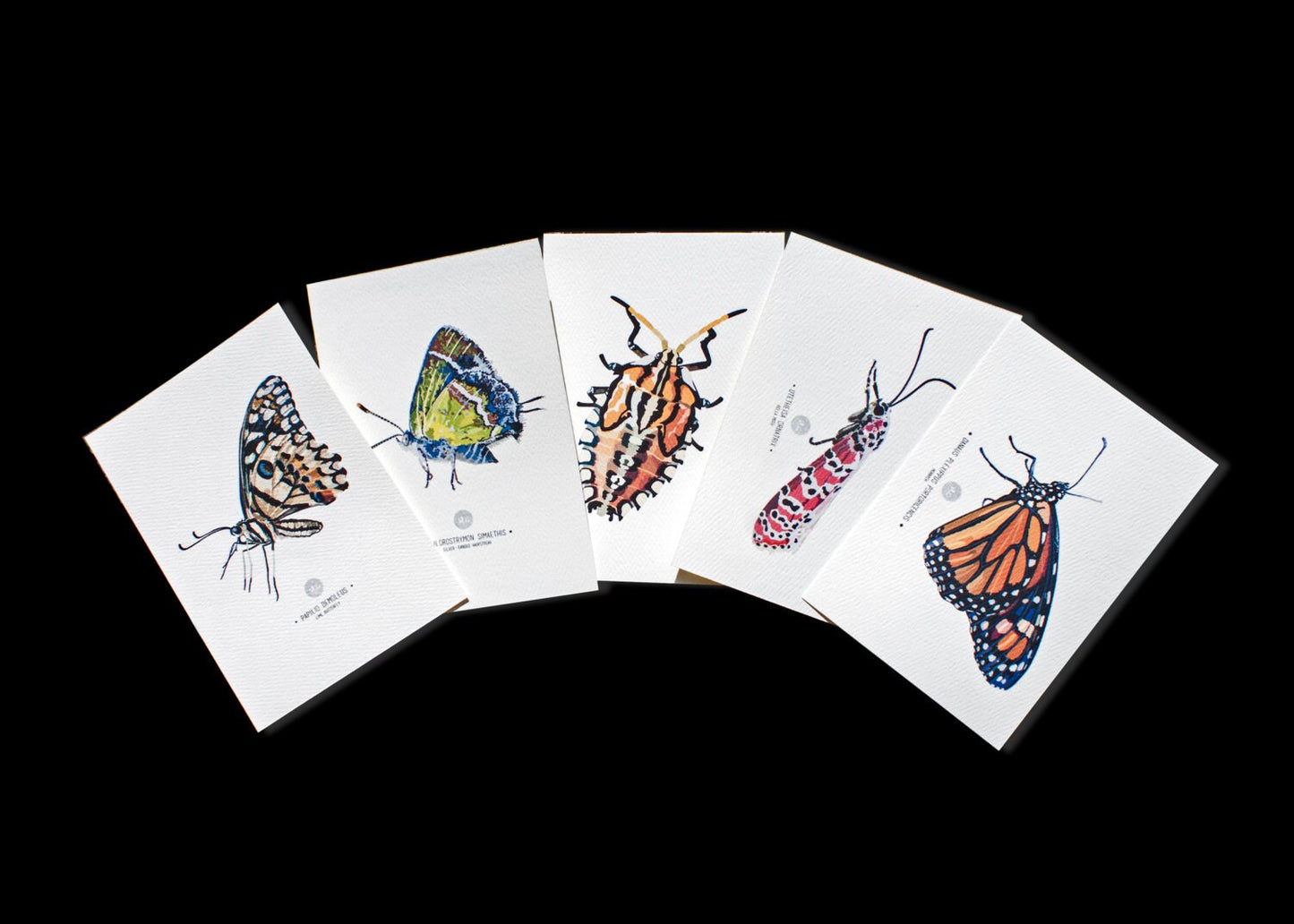 Insect Art Prints - Set of five