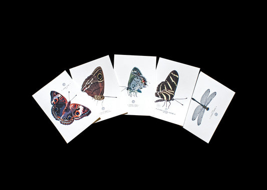 Entomology Art Prints - Set of five